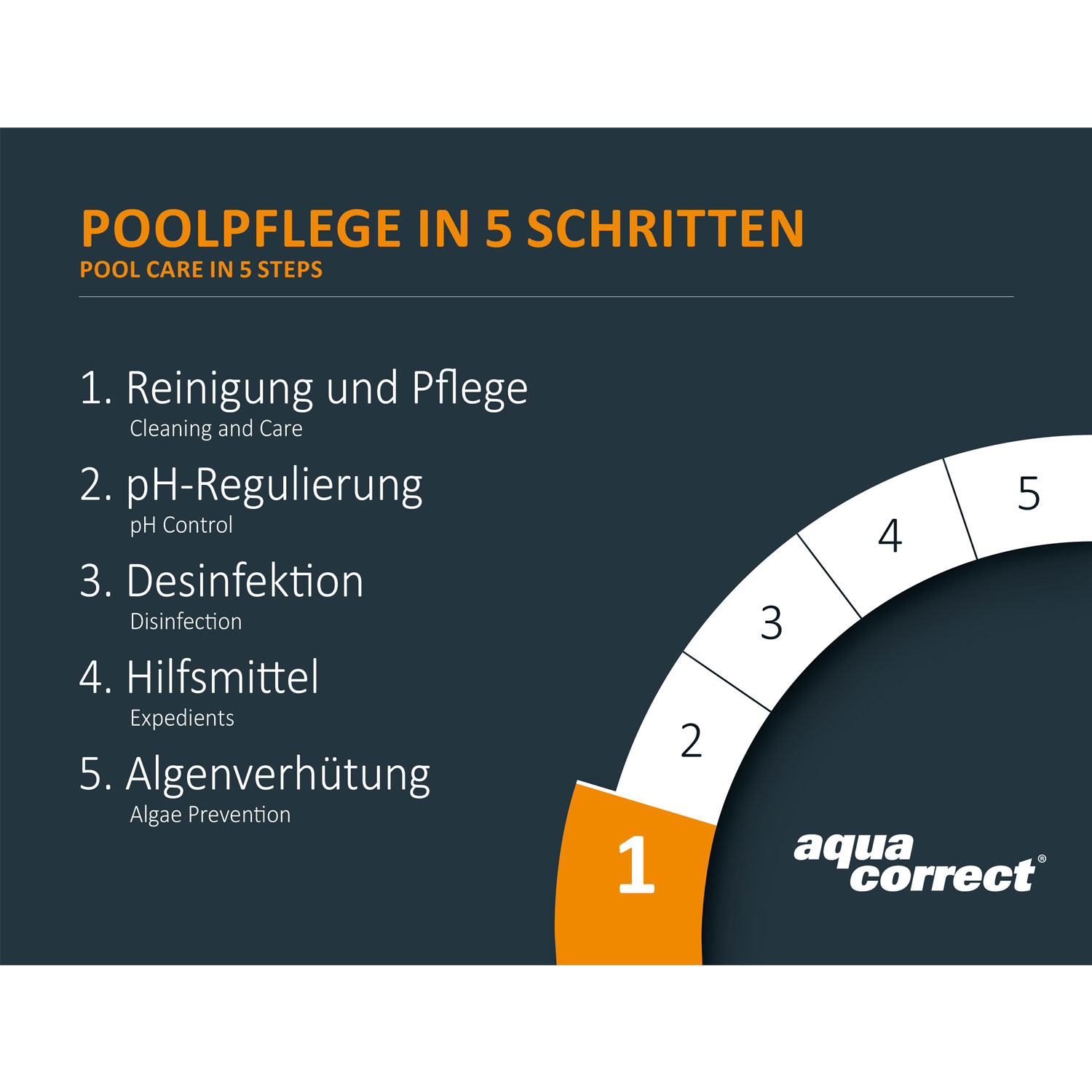 1l Metall- Ex flüssig 0755401 entfernt Metalle und Metallablagerungen